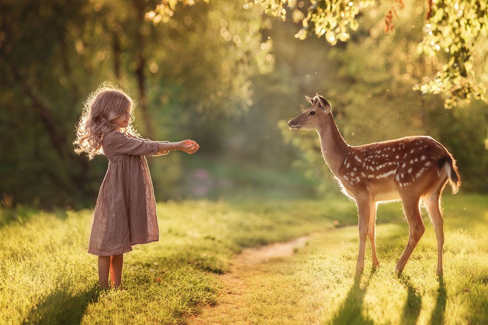 Встреча в лесу