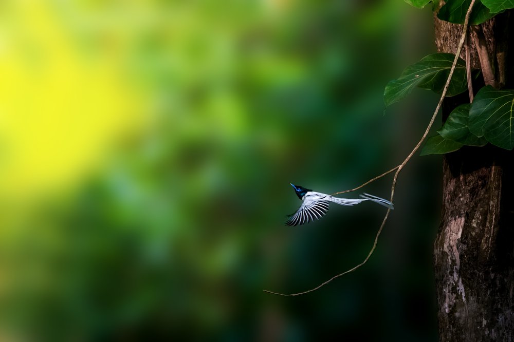 Bring me up in nova's glow