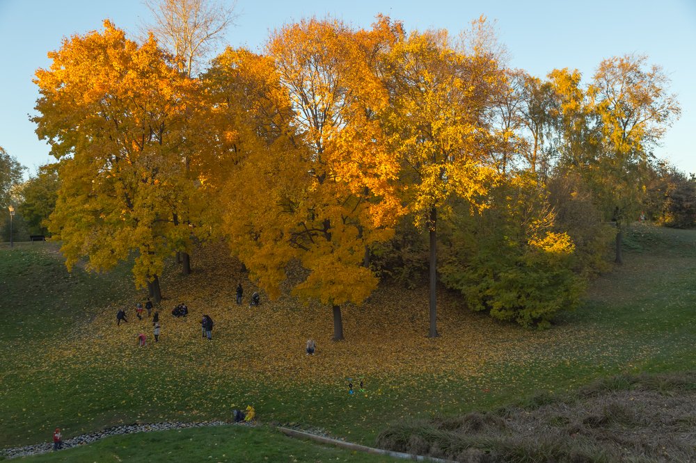 Photograph by Александра Михалева