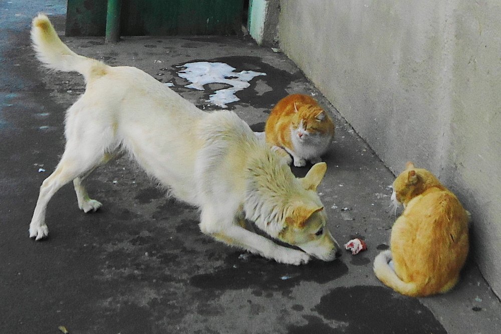 А ну-ка отними...