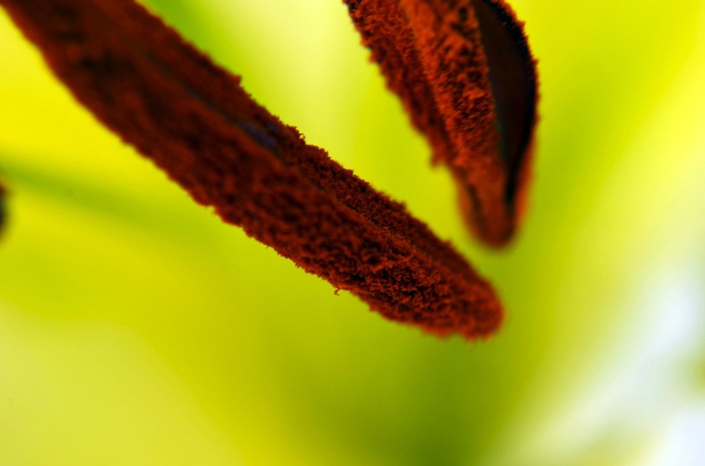 Photograph by Виктория Чушкина