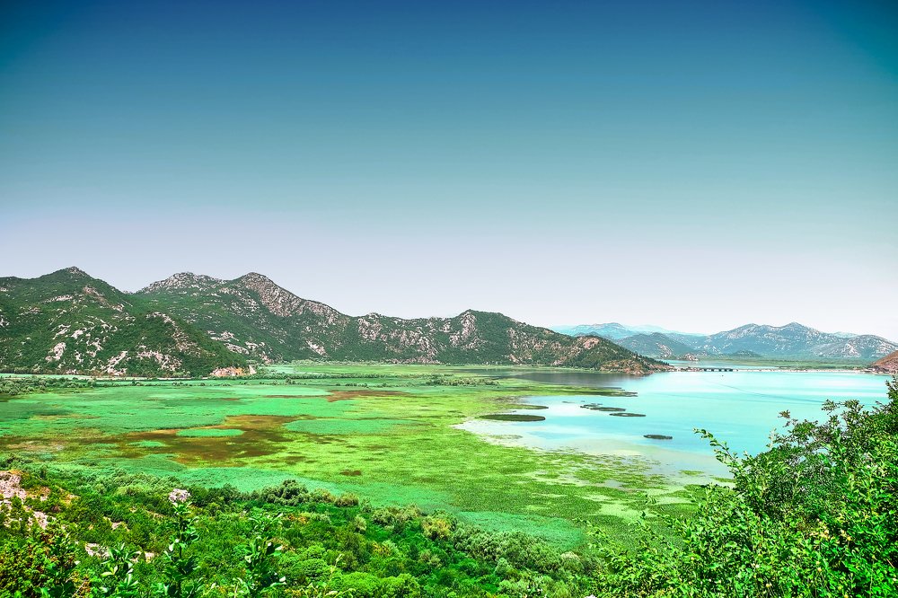 Skadar lake
