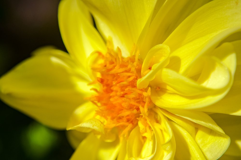 Photograph by Виктория Чушкина