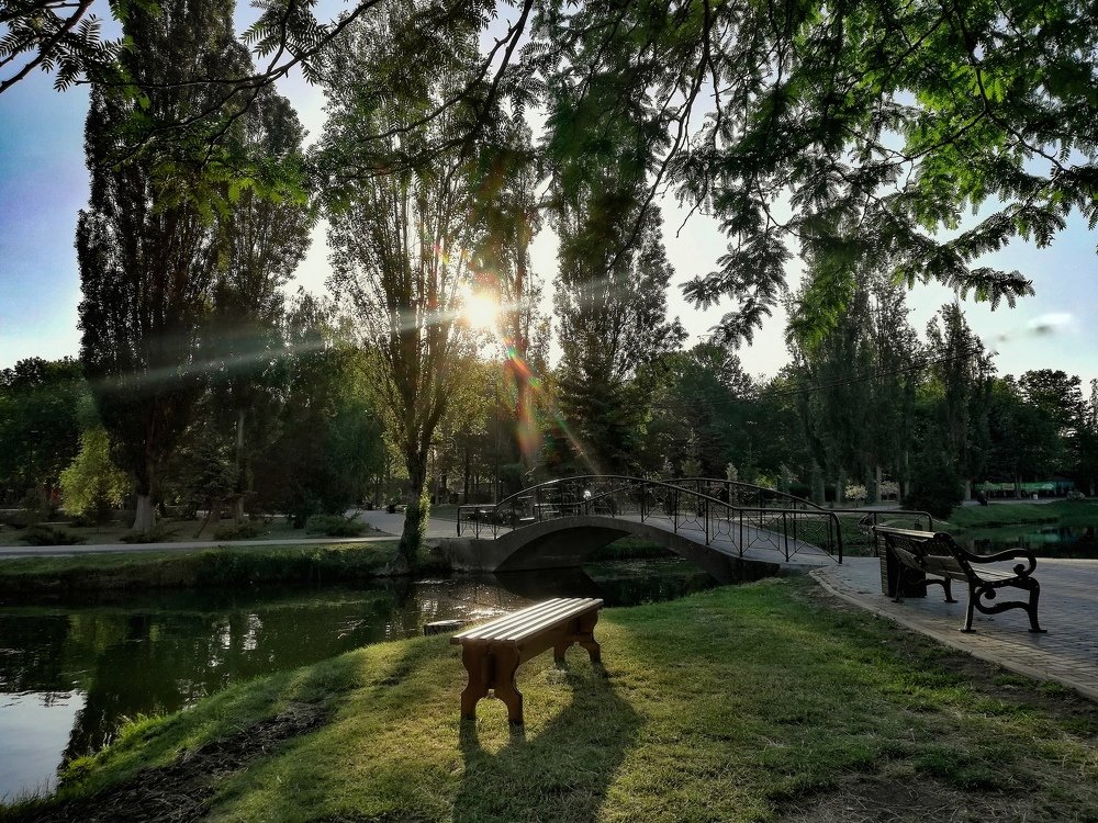 Photograph by Юлия