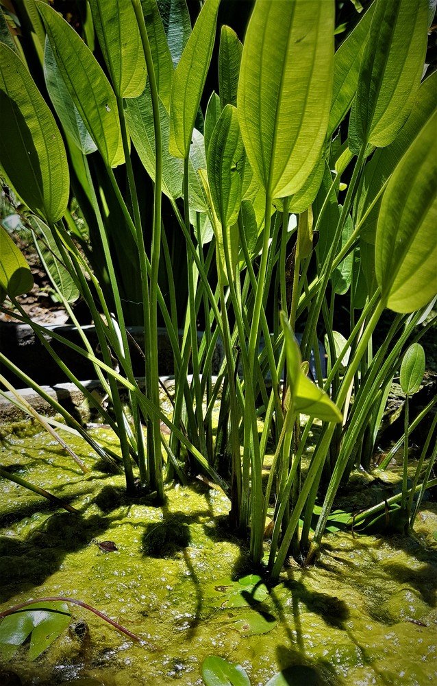 Photograph by Андрей Телибаев