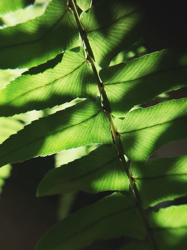 Photograph by Юлия