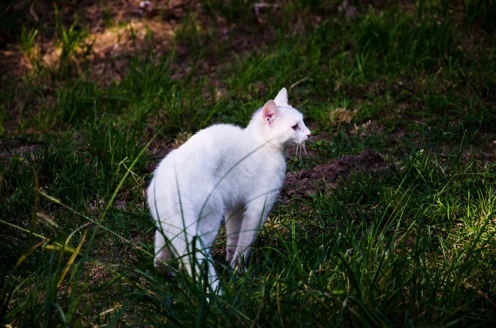 Photograph by Олександр Михайлов