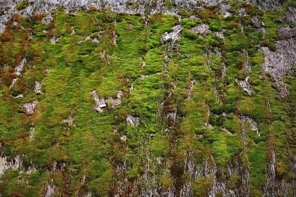 Photograph by Андрей Телибаев