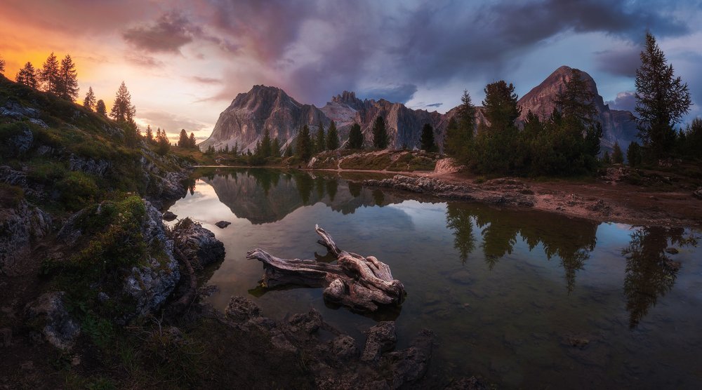 Photograph by José David Riquelme