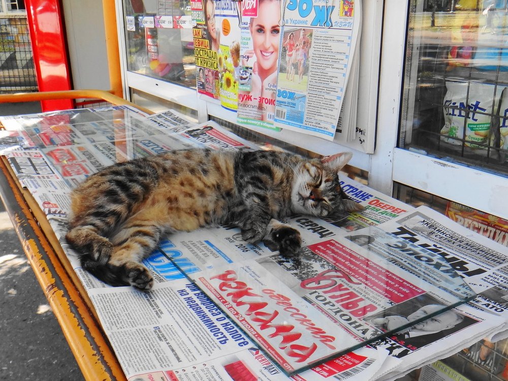 Избыток информации...