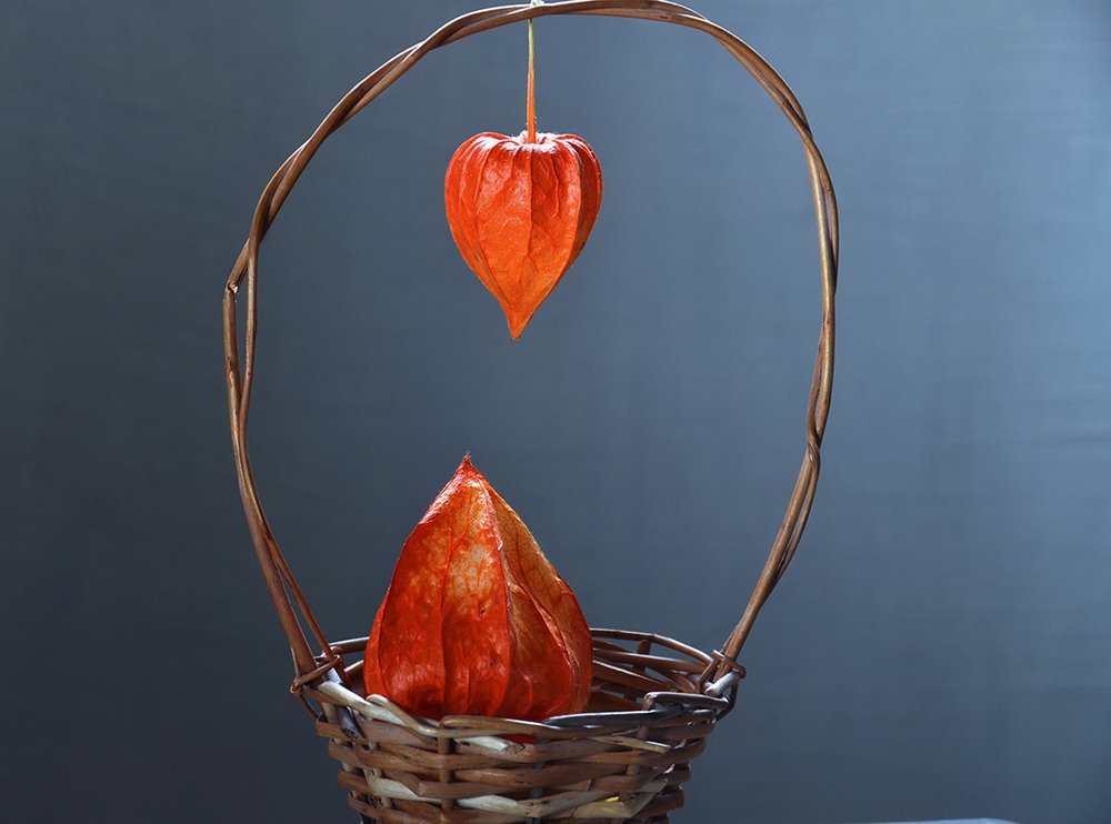 Сердце к сердцу