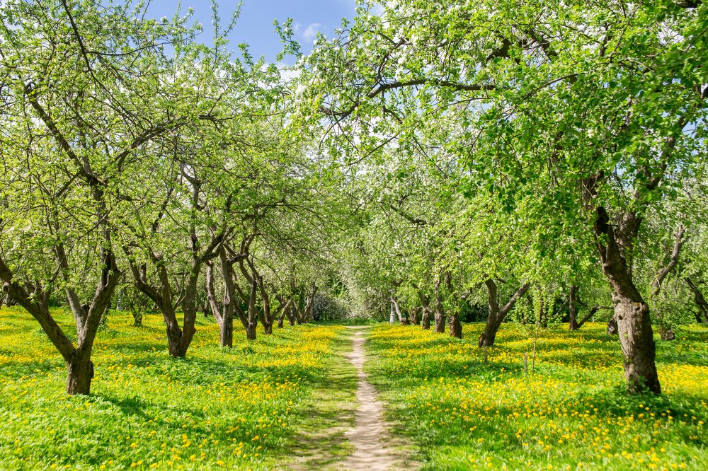 Photograph by Светлана Демина