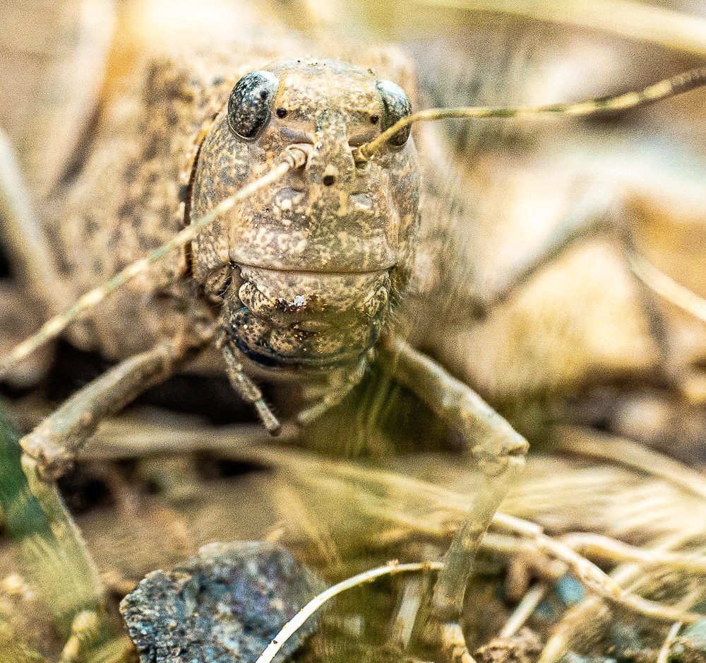 Фотография автора Straand2614