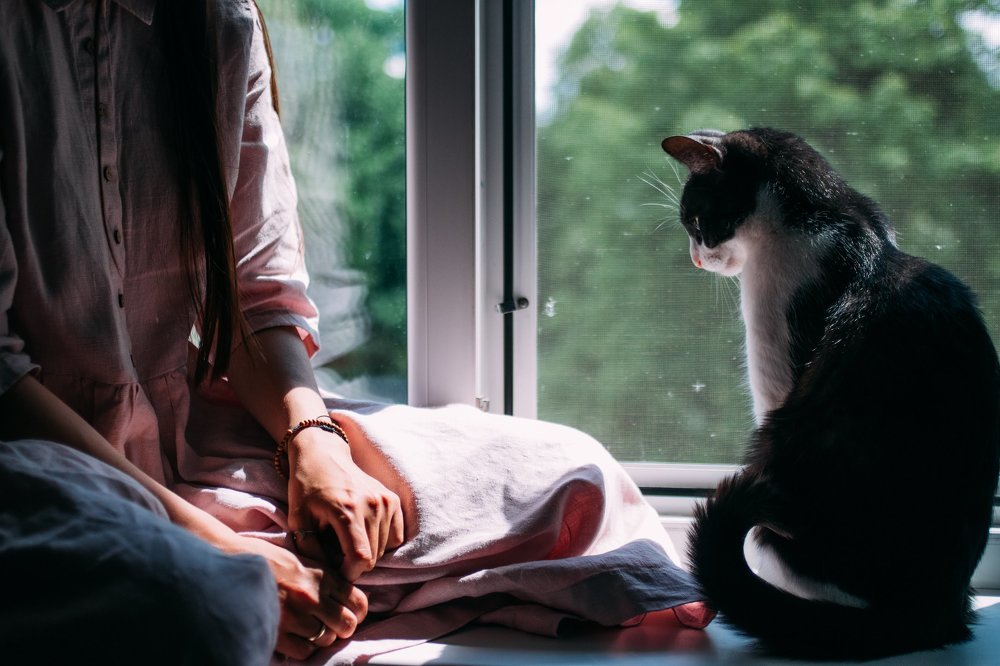 Photograph by Елена Демина