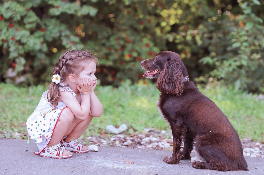 Photograph by Дарья Шаталова