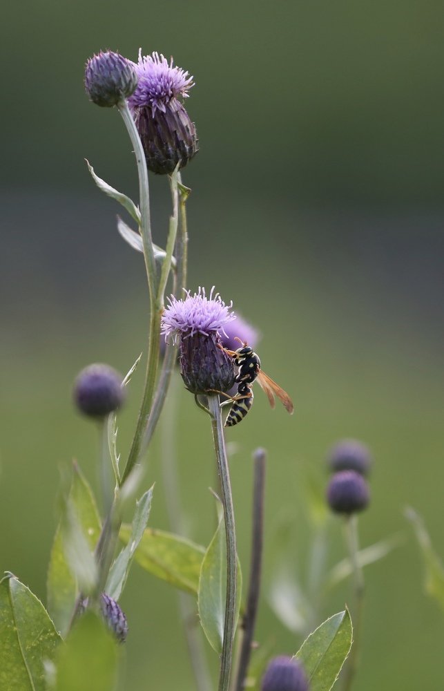 Photograph by  Михаил