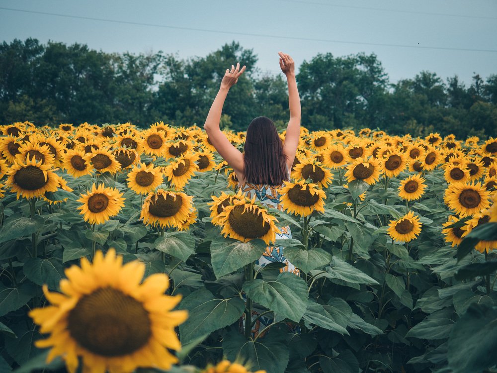 Photograph by Андрей Карбуков