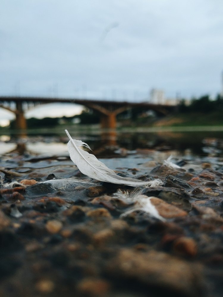 Photograph by Малах Виктория