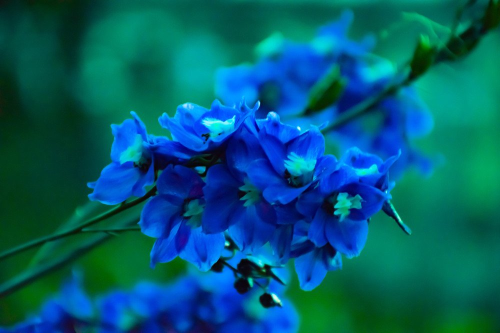 Photograph by Елена Прохорова