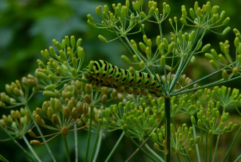 Photograph by Ирина Алексеева