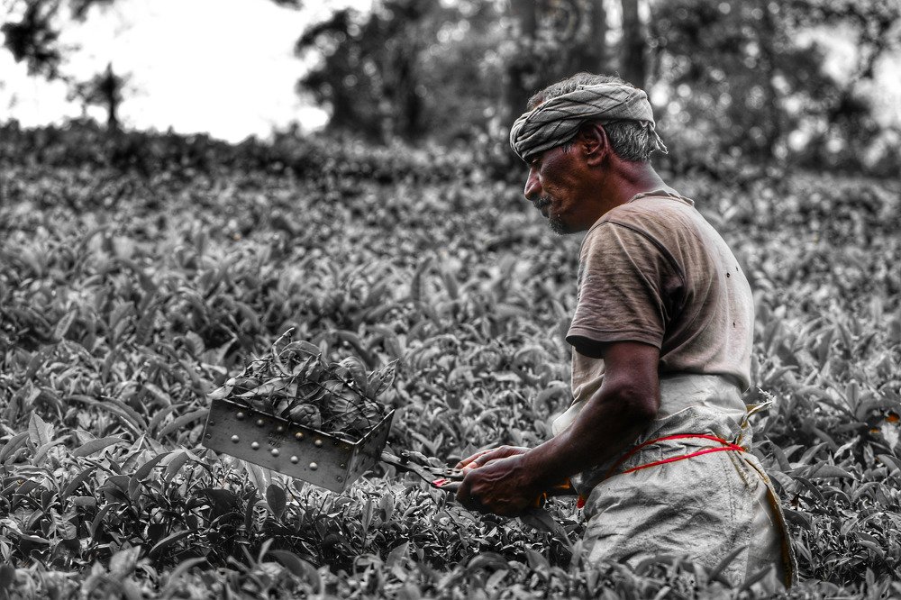 Photograph by Ashik Aziz