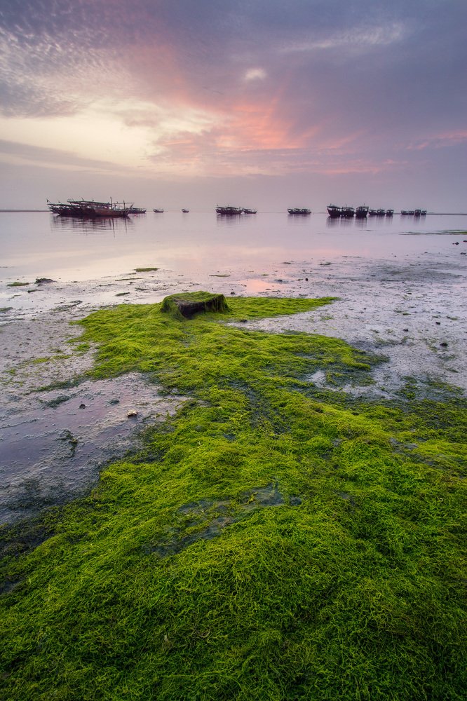 Photograph by Ali Alqassab