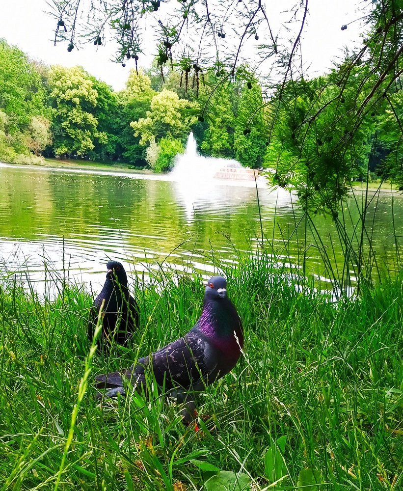 Photograph by Олена Пронiна