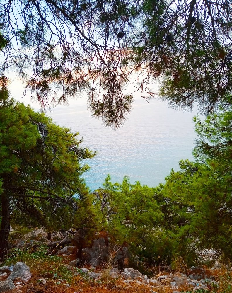 Photograph by Олена Пронiна