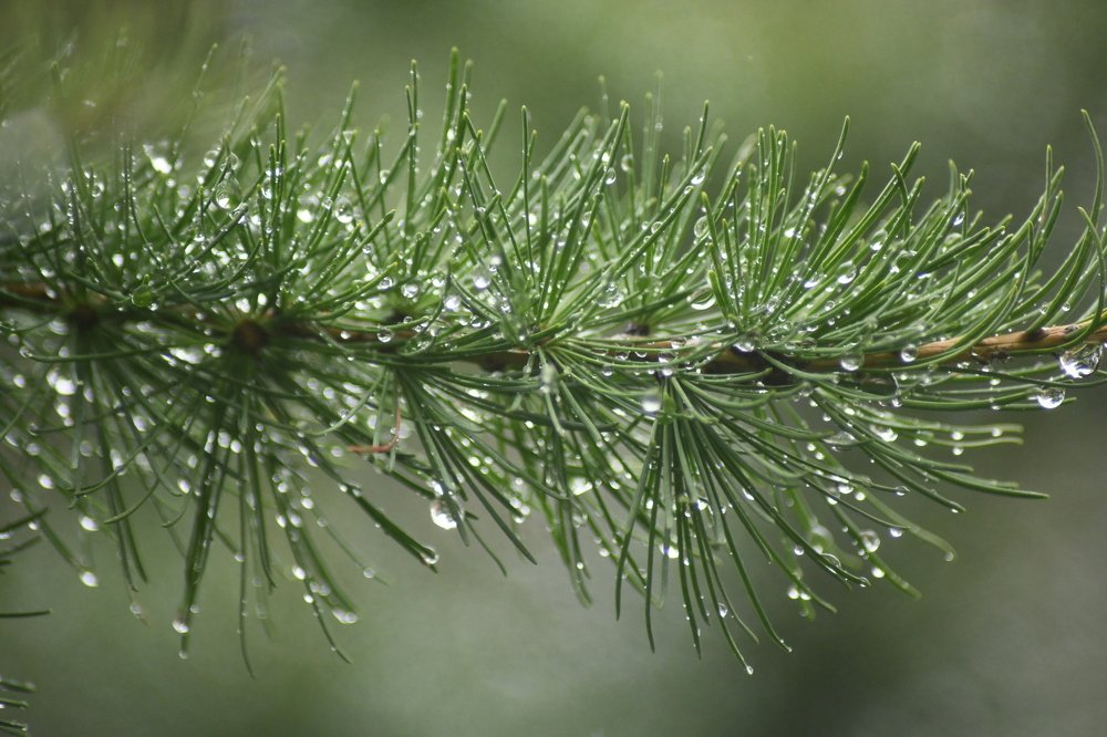 Photograph by Екатерина Абросова