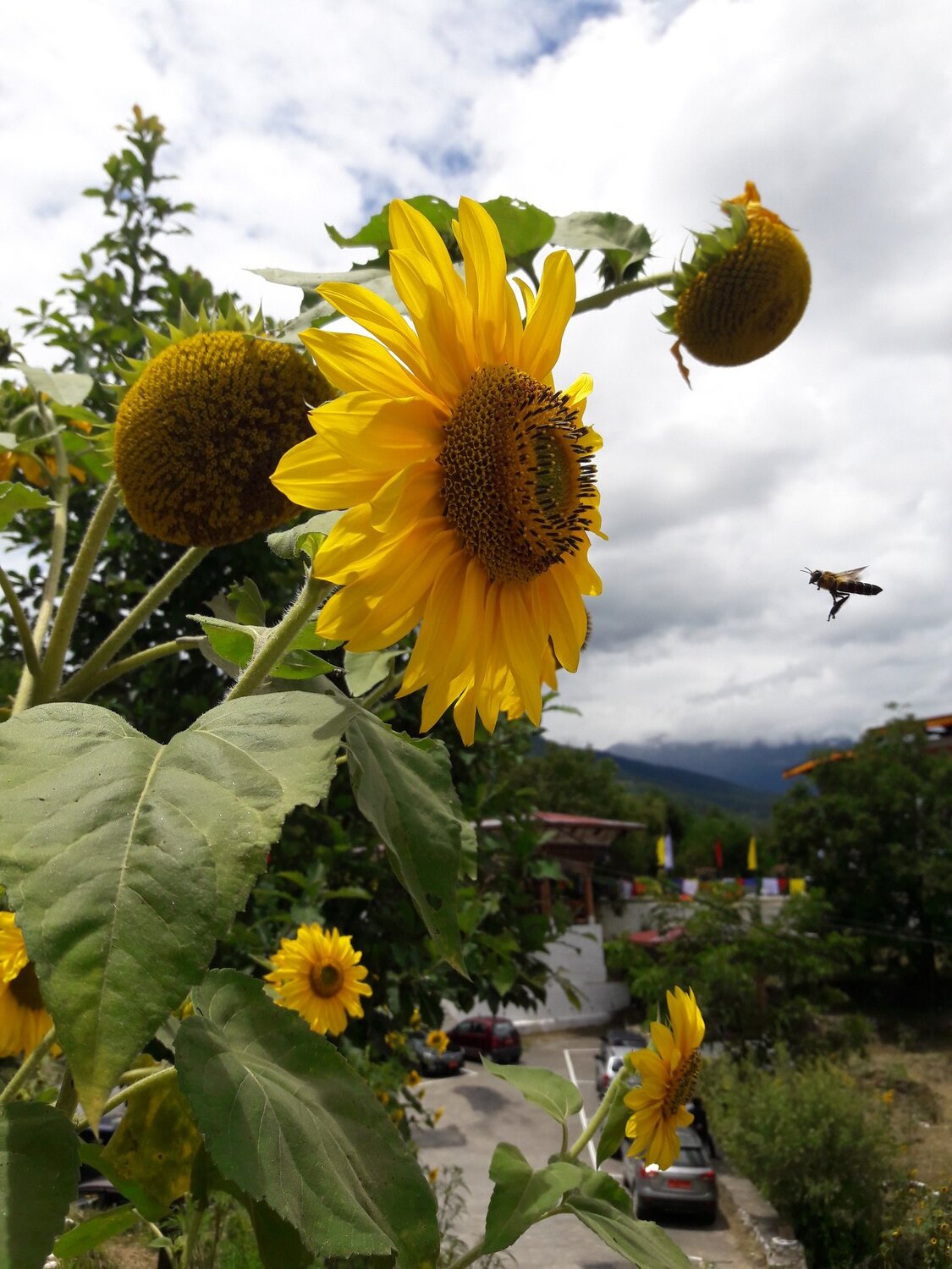 Photo #3573403