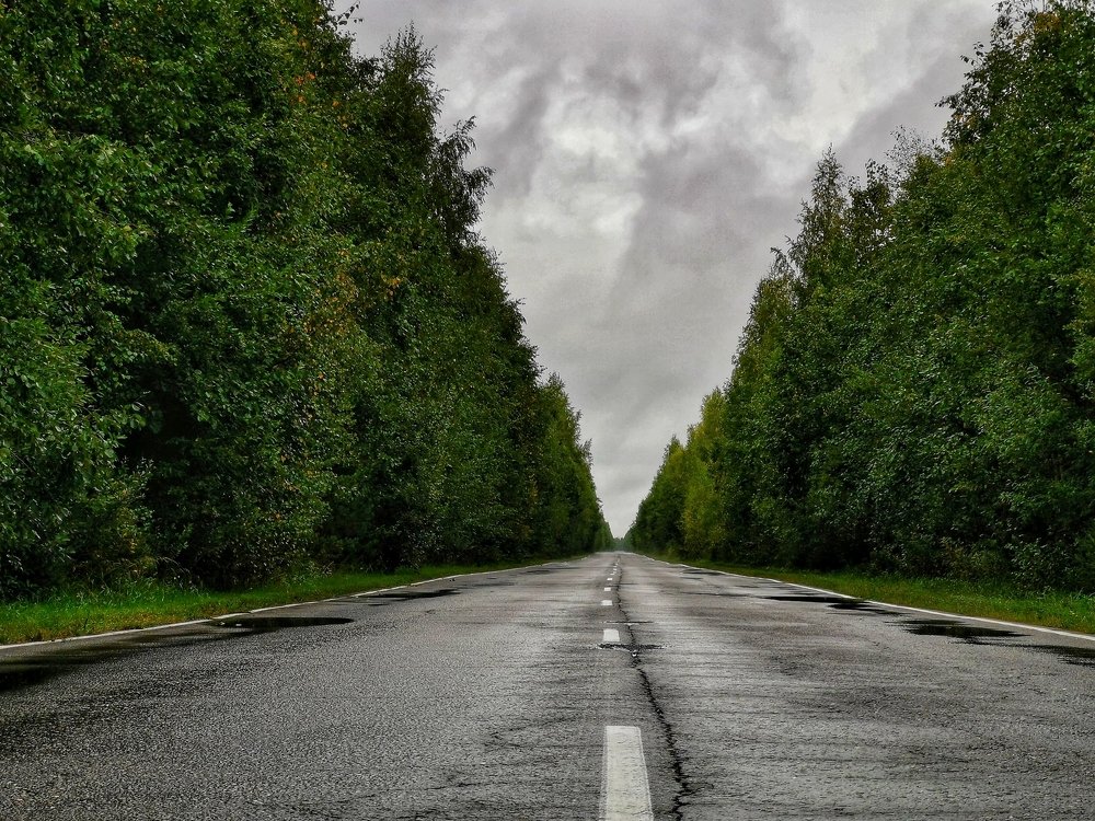 Куда ведет меня дорога