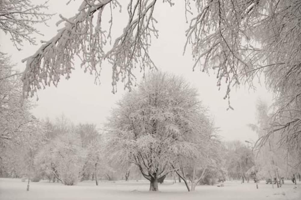 Photograph by Kseniia Pishchinskaia