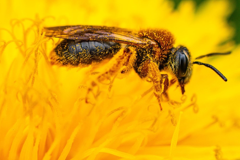 Photograph by Анна Рудакова