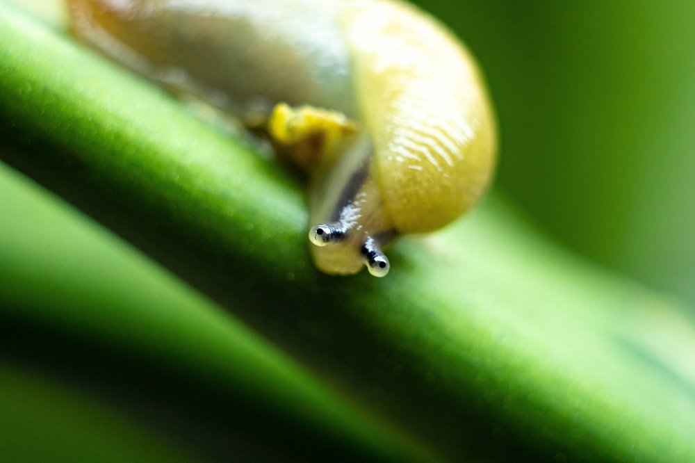 Photograph by Анна Рудакова