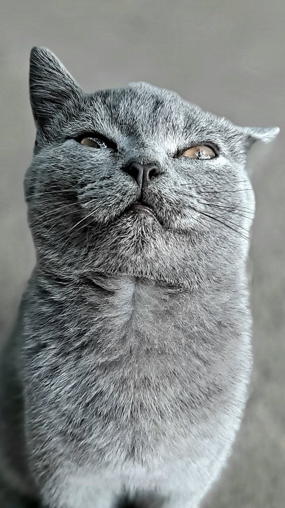 Фотография автора Александр Федоренко