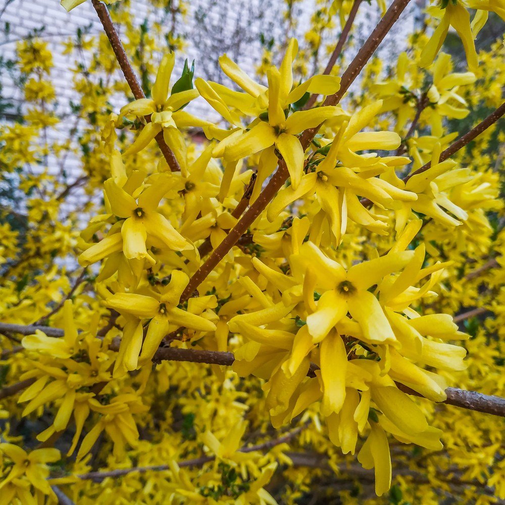 Photograph by Павел Агеев