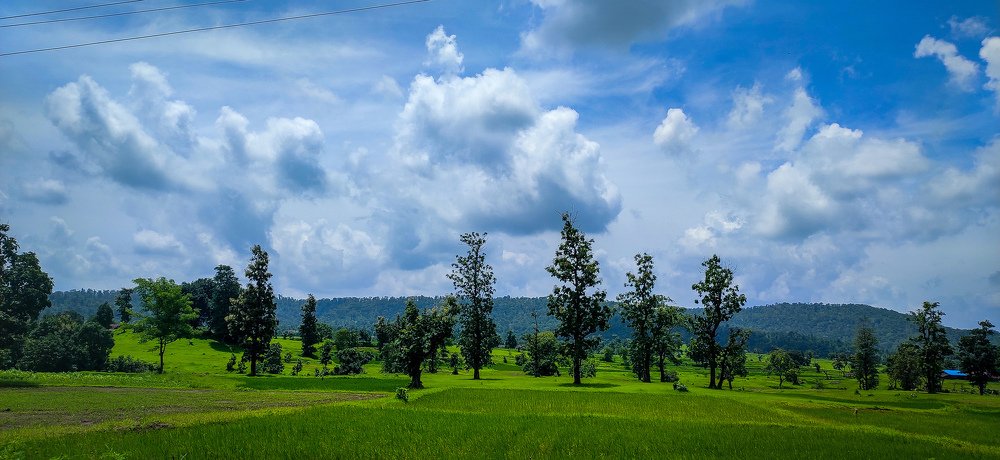 Photograph by Vimal Dubal