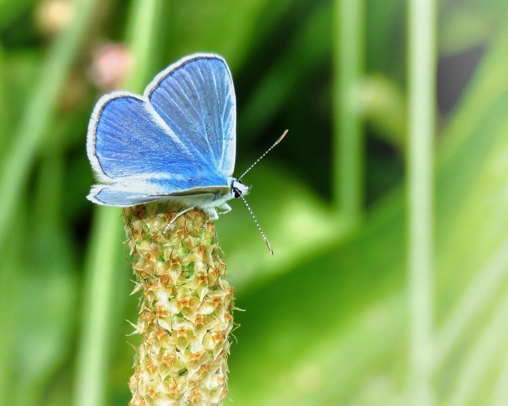 Photograph by Amin Ghaffarian