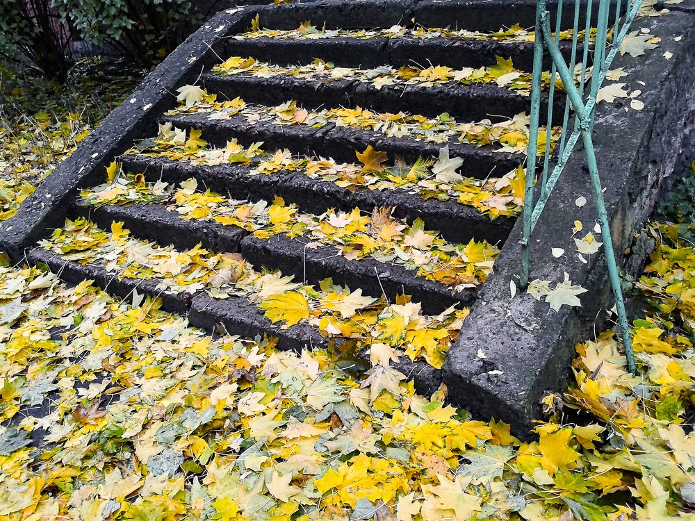 Photograph by Евгений Козлов