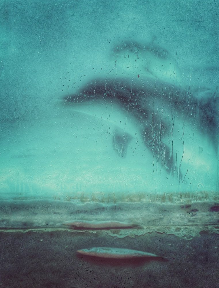 Photograph by abbas valadi