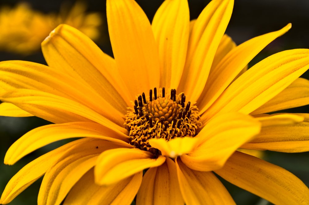 Photograph by Евгений Козлов