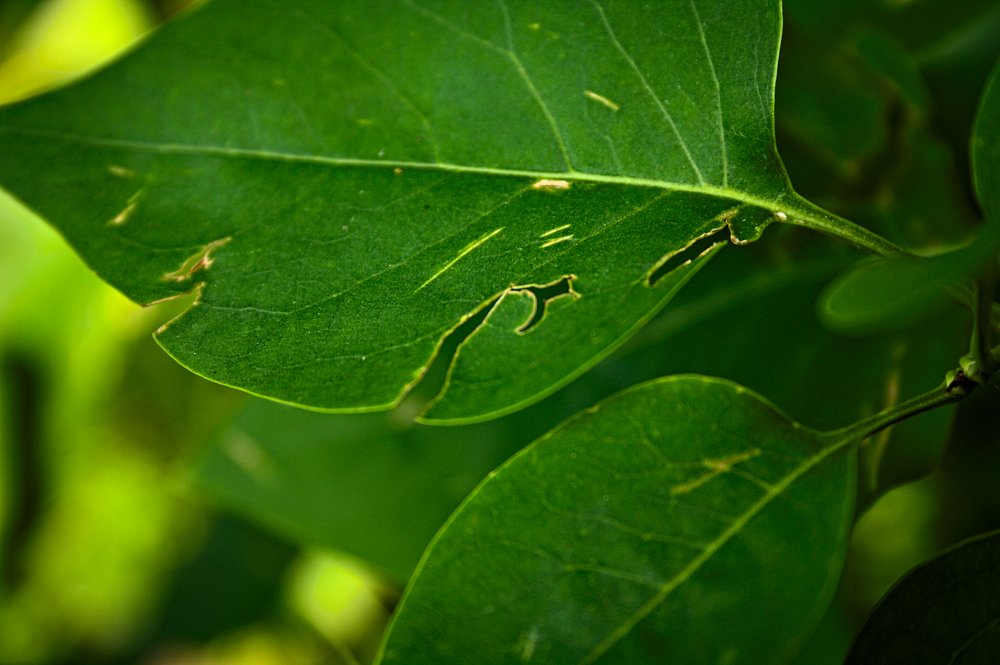 Photograph by Евгений Козлов