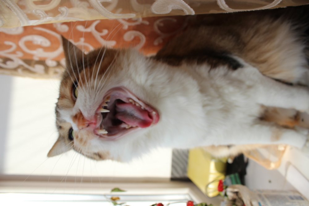 Photograph by Yuliia