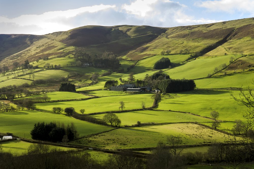 Photograph by salvatore Mercieca