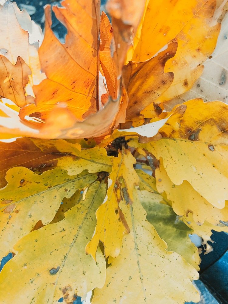 Photograph by Александра Шампорова