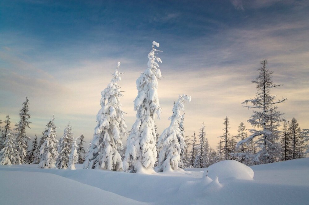 Русский север