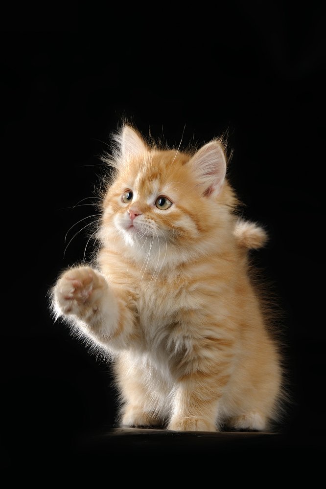 Photograph by Елена Дзюбанова