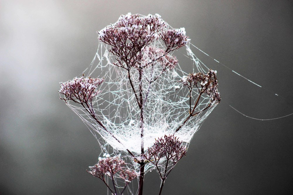 Вот и осень