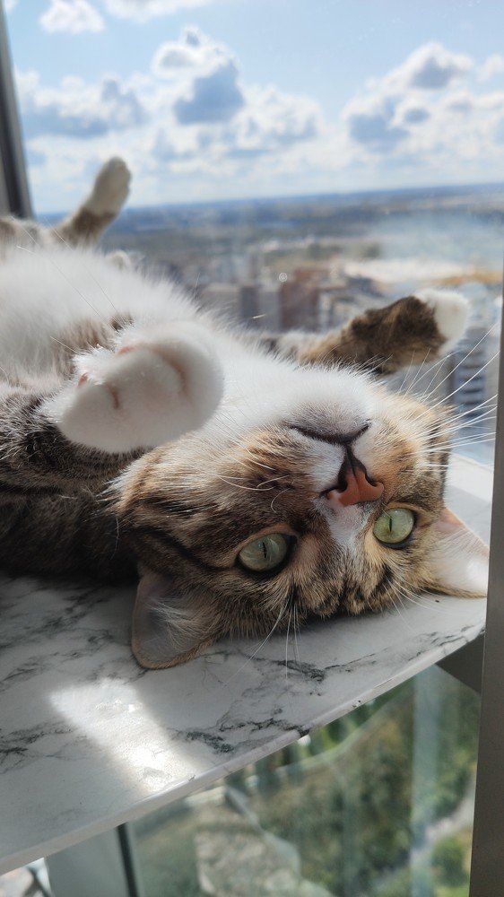 Photograph by Лукина Наталья