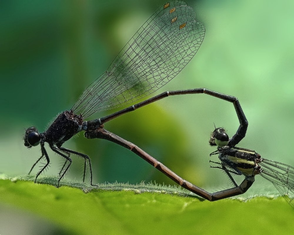 Photograph by Sritam Kumar Sethy